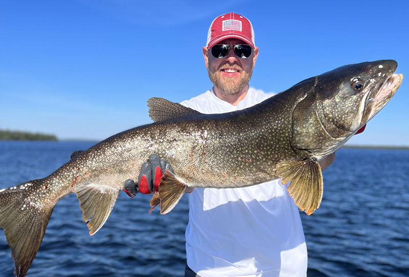 Lake Trout
