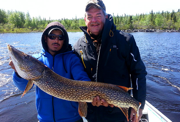 Giant Northern Pike