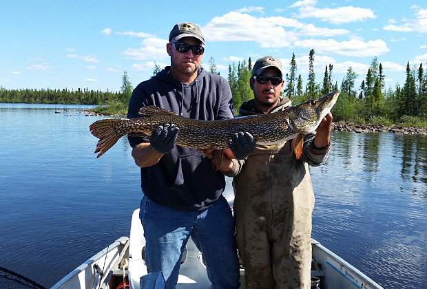 Giant Northern Pike