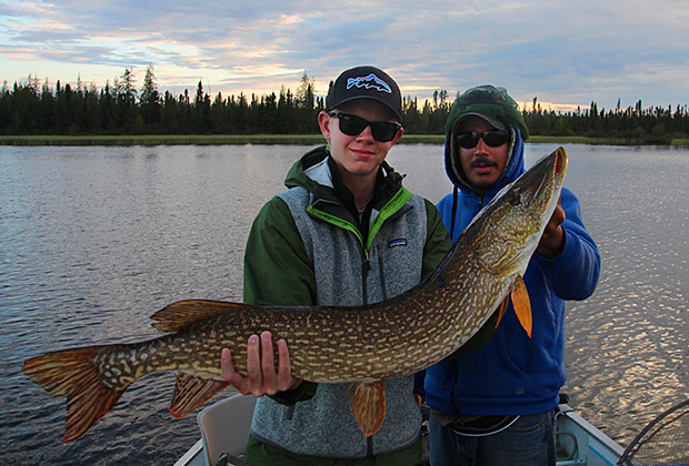 Giant Northern Pike