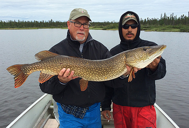 Giant Northern Pike