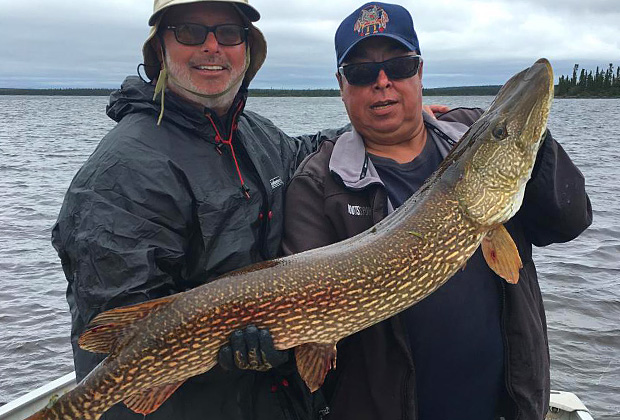 Giant Northern Pike