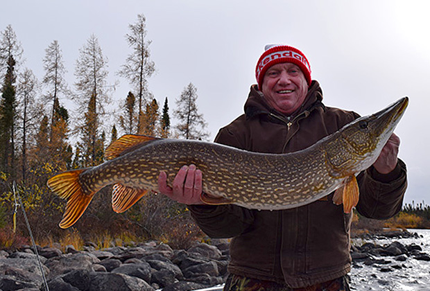 Giant Northern Pike