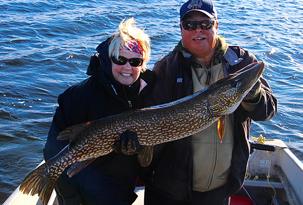 Giant Northern Pike