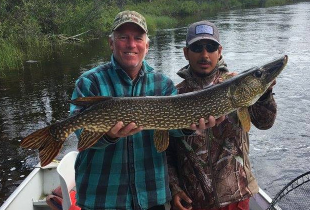 Giant Northern Pike