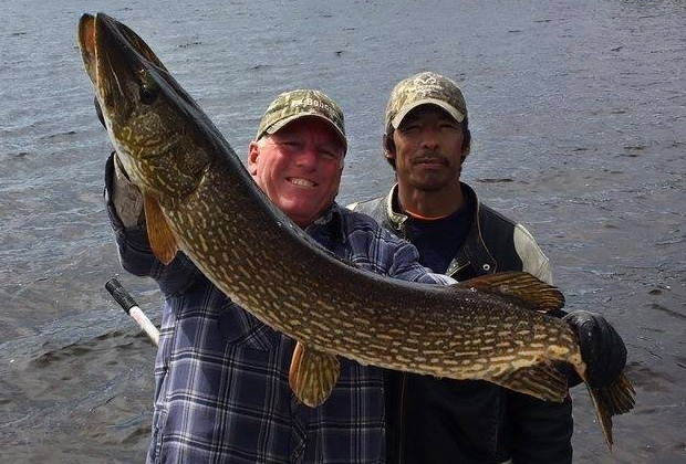 Giant Northern Pike