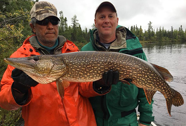 Giant Northern Pike