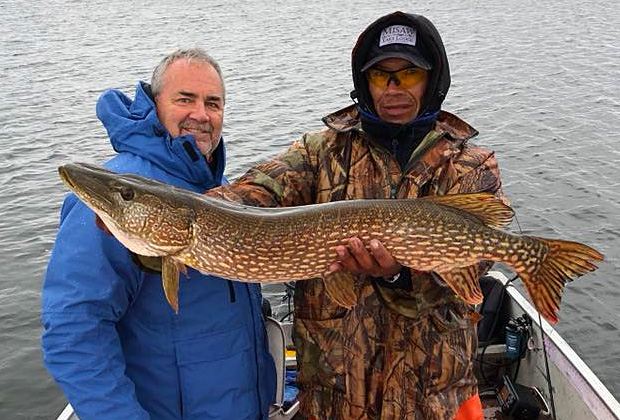 Giant Northern Pike