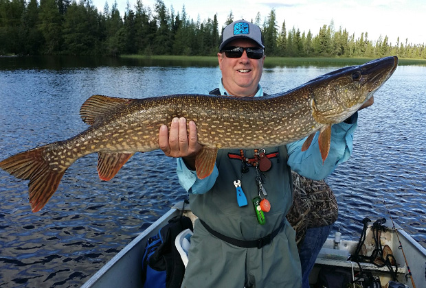 Giant Northern Pike