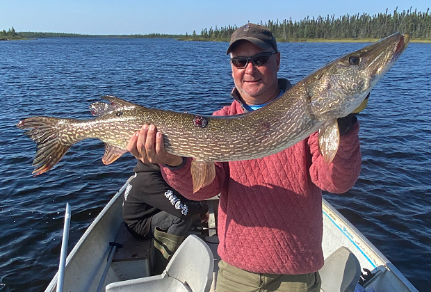 Giant Northern Pike